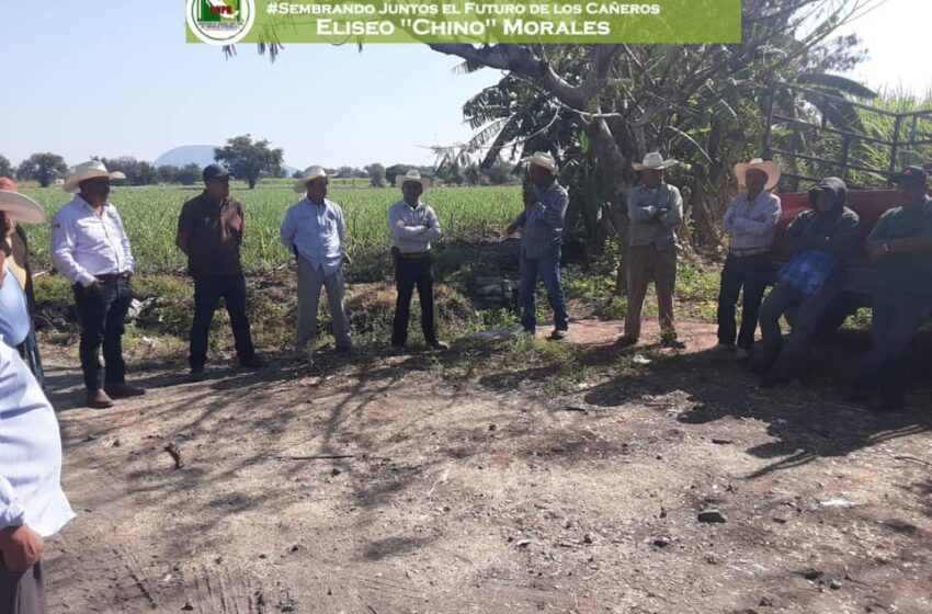 Realiza Eliseo Morales diversas acciones con cañeros de la CNPR