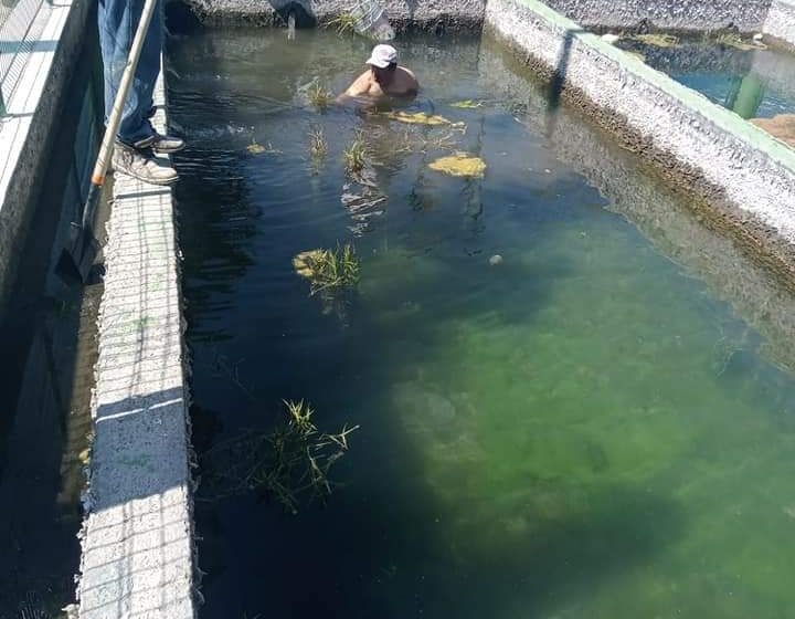En Chila de las Flores realizan limpieza del drenaje