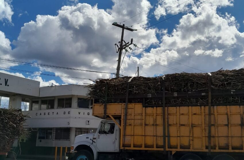 Zafra cañera registra más del 25 por ciento de avance: CNC