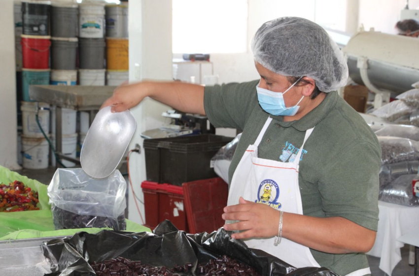 Crece 27.8% número de empleadores en Puebla: Economía