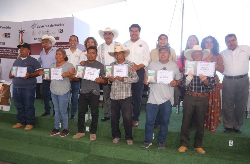 En Chiautla entregan semilla de sorgo para campesinos