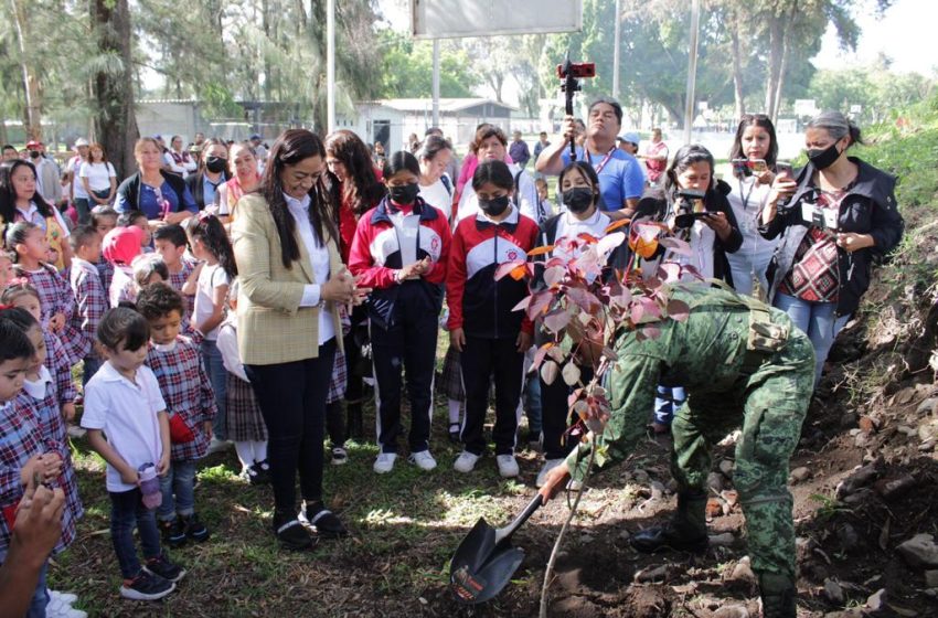 Ariadna Ayala continúa con la campaña de reforestación: “Atlixco Verde”