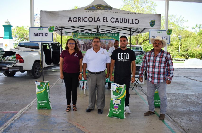 En Chiautla dan apoyo a la producción de maíz