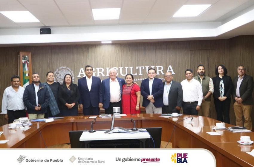 Gobierno de Puebla impulsa estrategia para el agave mezcalero