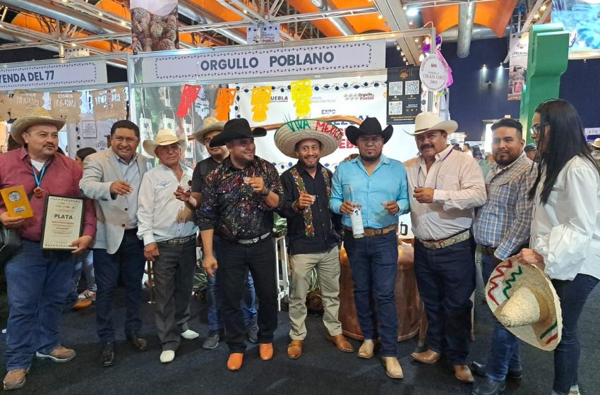 Reconocen mezcal de Lorenzo Pliego como de los mejores de Puebla