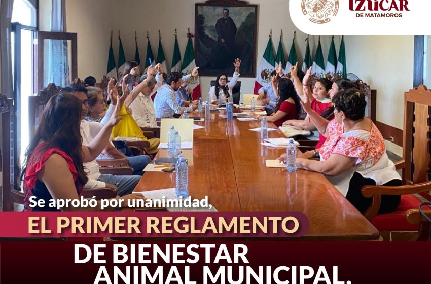 Izúcar de Matamoros establece un nuevo estándar en la Protección de los Derechos de los Animales