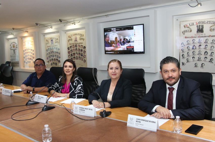 Exponen en Comisión del Congreso los retos y oportunidades para las ONG de Puebla