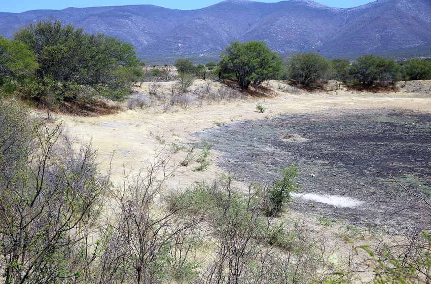 En Piaxtla realizan limpieza de Jagüeyes
