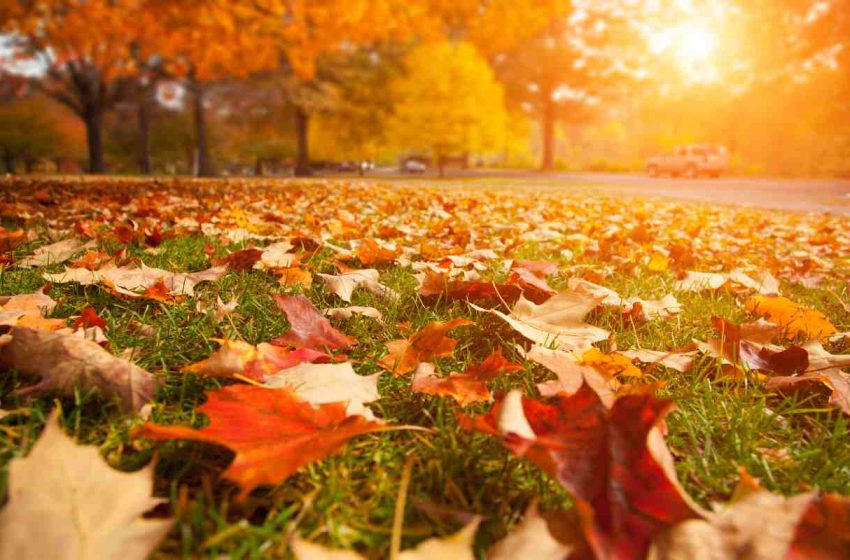Hoy inició el Otoño en México, una estación marcada por temperaturas más cálidas y lluvias
