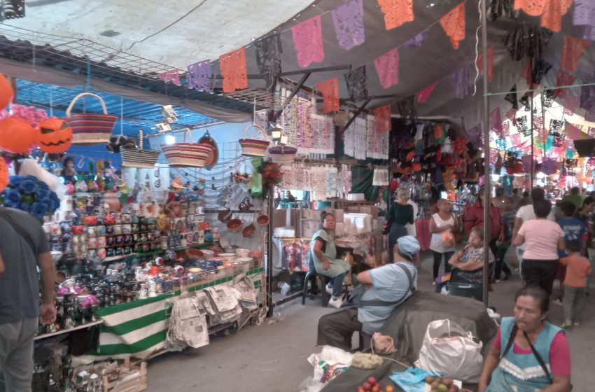 Mejora el turismo y economía de la mixteca por Todos Santos