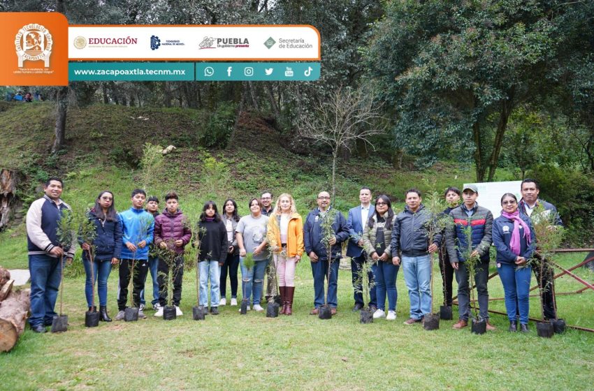 Ayuntamiento de Zacapoaxtla donó 200 ahuehuetes al Instituto Tecnológico