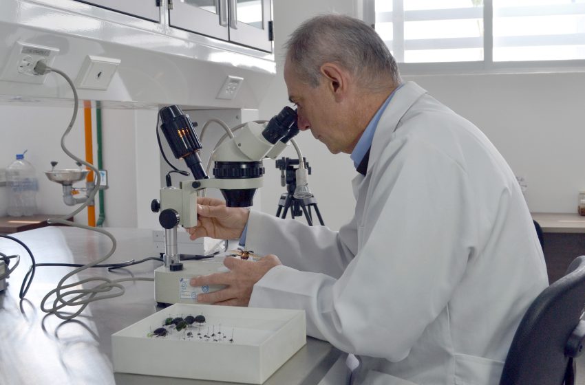 BUAP conforma equipos de investigación interdisciplinaria para la solución de problemas nacionales