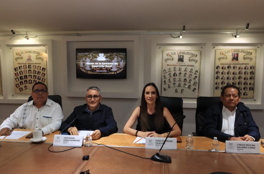 Aprueban en Comisión del Congreso acuerdo para promover programas de apoyo a productores de naranja