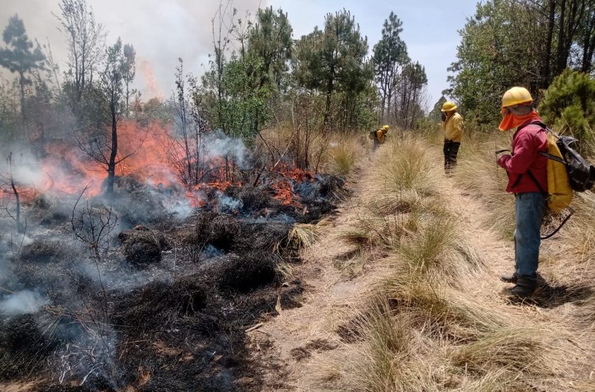 En Puebla, se atendieron 246 incendios forestales