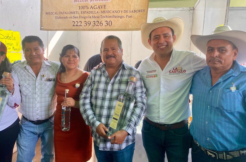 Impulso al agave mezcalero para su producción, comercialización y certificación de productores: Lalo Castillo