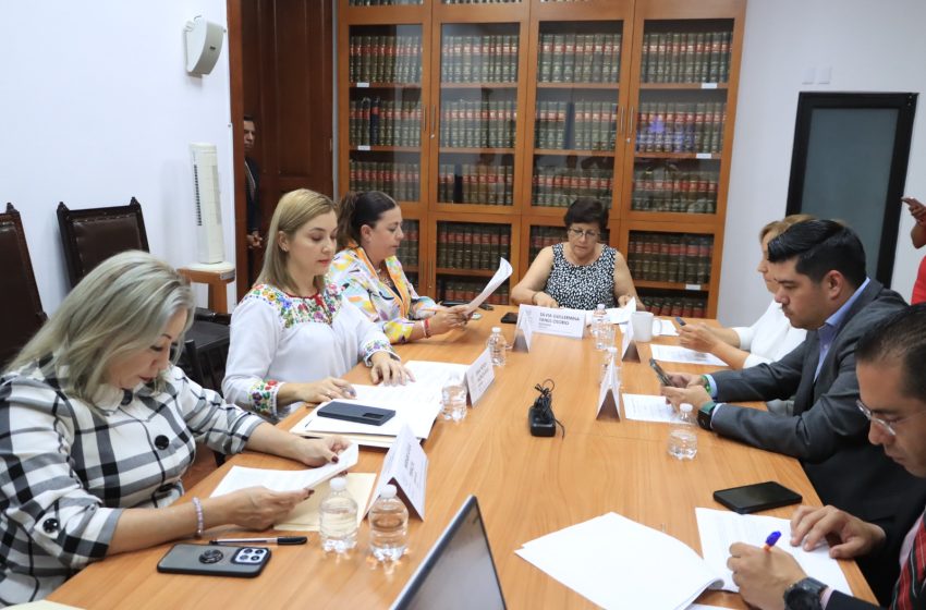 En Puebla se aprueba difundir derechos de usuarios de transporte
