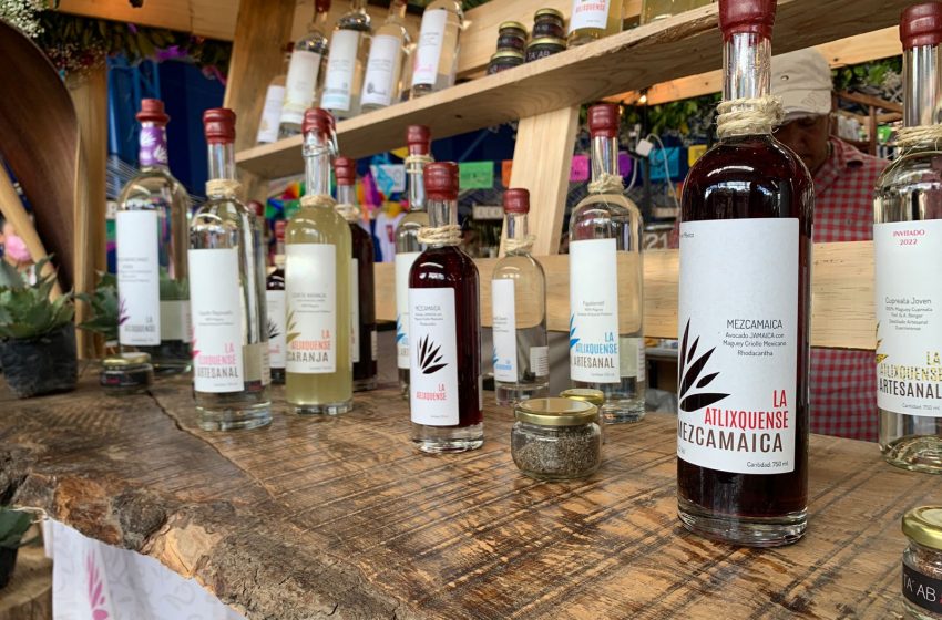 Realizará Atlixco 3ra edición de  la Feria del Mezcal y del Pulque