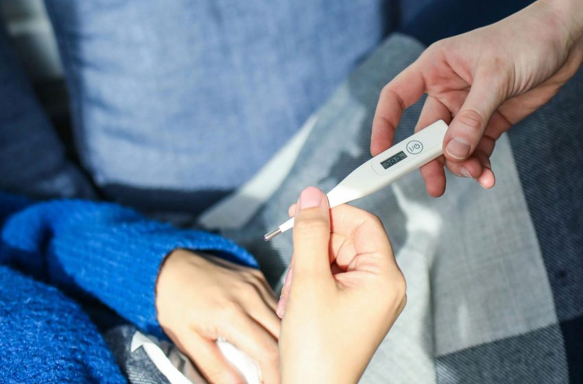 Registra Puebla 658 casos acumulados de dengue: Salud