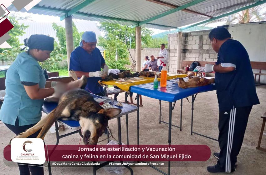 Ayuntamiento de Chiautla de Tapia impulsa jornadas de beneficio para los ciudadanos