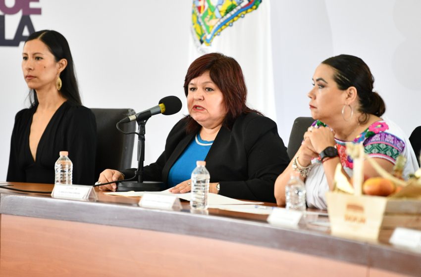 Invierte Secretaría de Salud 50mdp para combatir el dengue en Puebla