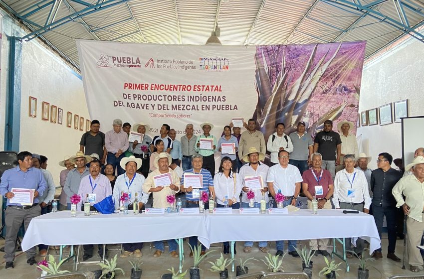 Preside Teopantlán el primer encuentro estatal de productores indígenas del agave y el mezcal