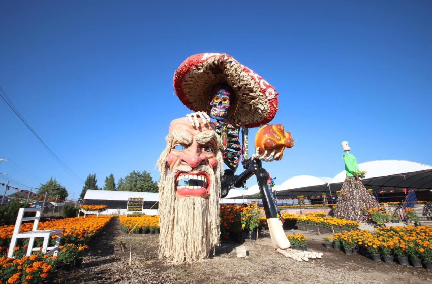 Con gran éxito, Ariadna Ayala inaugura el Valle de Catrinas en Atlixco.