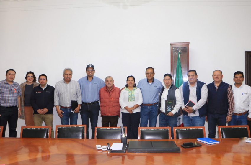 Gobierno de Puebla coordina acciones contra plagas en la caña de azúcar
