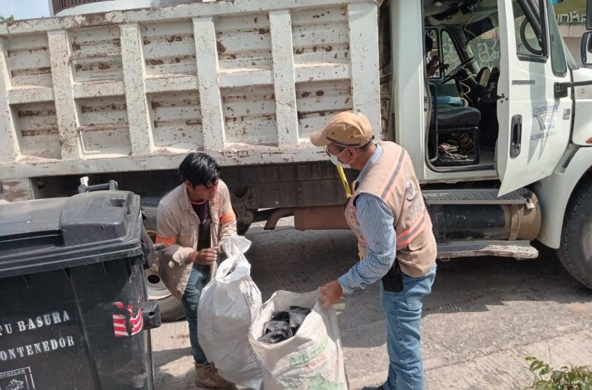 Gobierno de Epatlán combate el dengue