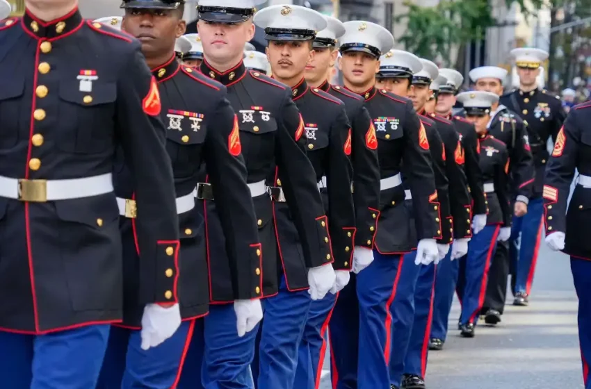 Senado autoriza el ingreso de 155 marines de EE. UU. a México