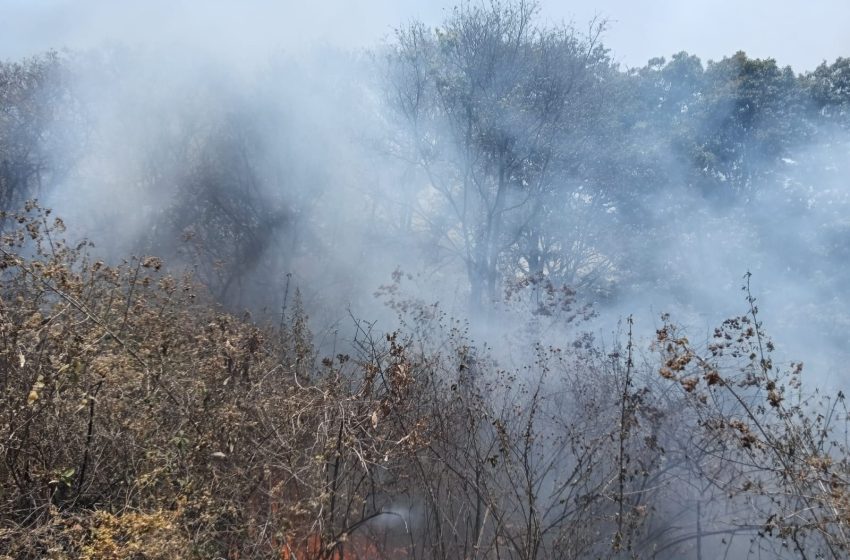 Sofocan incendio forestal en el Parque Nacional Pico de Orizaba.