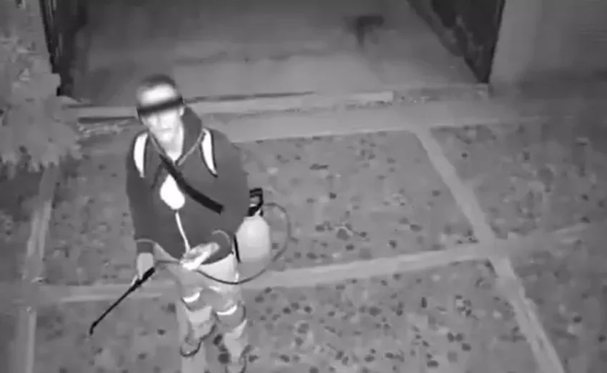 Extranjero quema con ácido a perros en Cuilápam