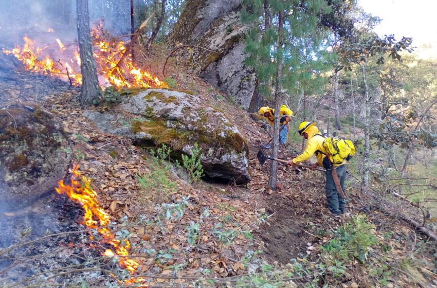 Gobierno estatal combate con eficacia 301 incendios forestales y reduce superficie afectada