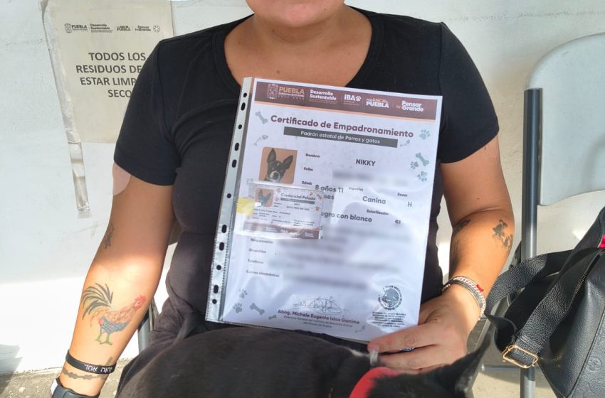 ¿Es obligatorio el registro de mascotas en Puebla?