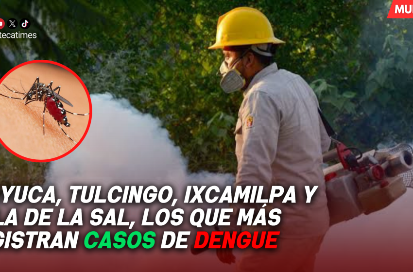 Cuayuca, Tulcingo, Ixcamilpa y Chila de la Sal, los que más registran casos de dengue