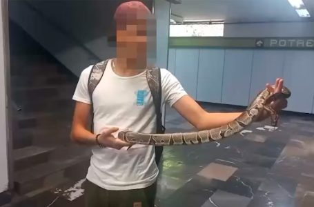 Detienen a sujeto que viajaba en el metro con una serpiente