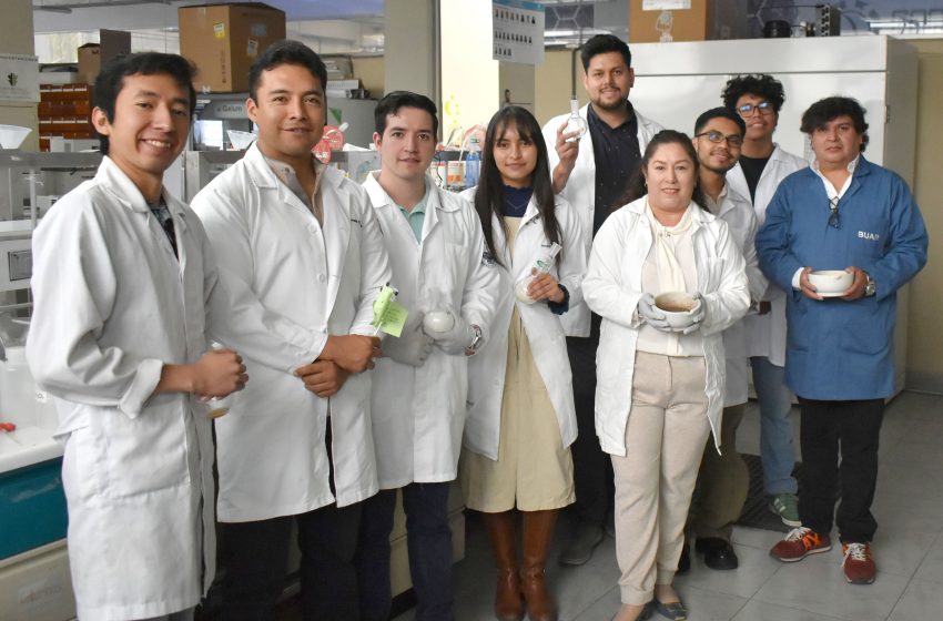 Obtiene investigadora BUAP patente por compuesto contra cáncer femenino