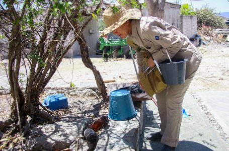 Suma Puebla 101 casos de dengue en  lo que va del 2025