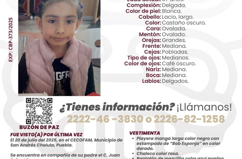 Buscan autoridades a niña que se llevó su papá ilegalmente