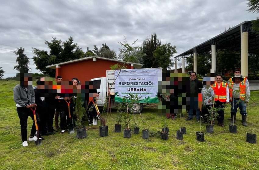 Realiza el SOAPAMA jornada de reforestación en Atlixco