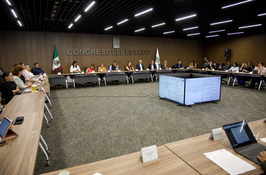 Reformas sobre ciberasedio representan la oportunidad de garantizar seguridad: Norma Pimentel