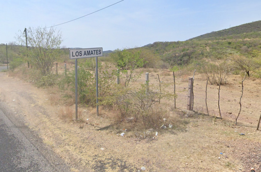 Hallan osamenta humana a orilla de carretera en Los Amates