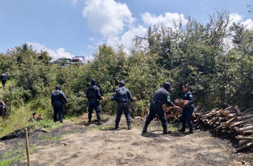 Aseguran hornos clandestinos en zona limítrofe de Puebla y Tlaxcala
