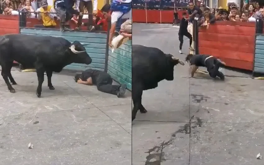 Lucha poblano por recuperación tras cornadas en Huamantlada