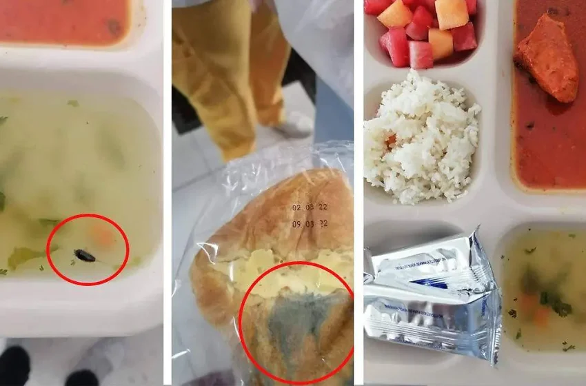 Investigan IMSS de Tehuacán por plaga de cucarachas en alimentos