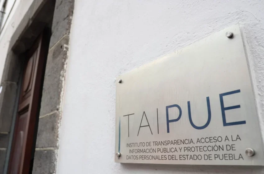 La nueva era de la transparencia, Bajo la lupa