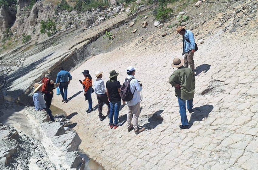 Hallan posibles huellas de dinosaurio en Tehuacán