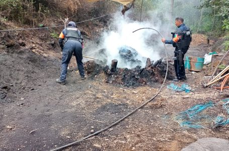 Suman más de 20 hornos clandestinos de deshidratación de madera en Puebla