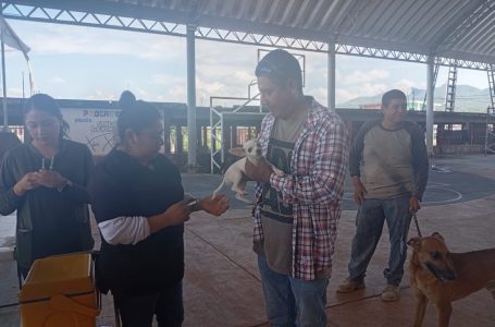 Piaxtla se compromete  por el bienestar animal