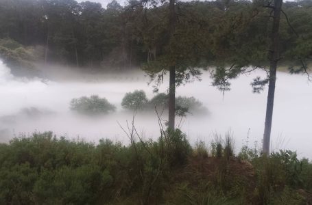 Evacúan a 3 mil personas tras fuga de gas de ordeña en Tlaxcala