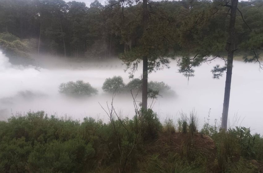 Evacúan a 3 mil personas tras fuga de gas de ordeña en Tlaxcala